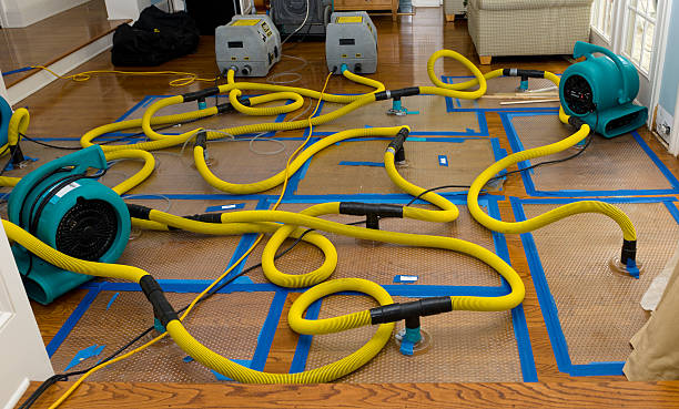 Professional Flood Damage Restoration technician working in Stoneham, ME